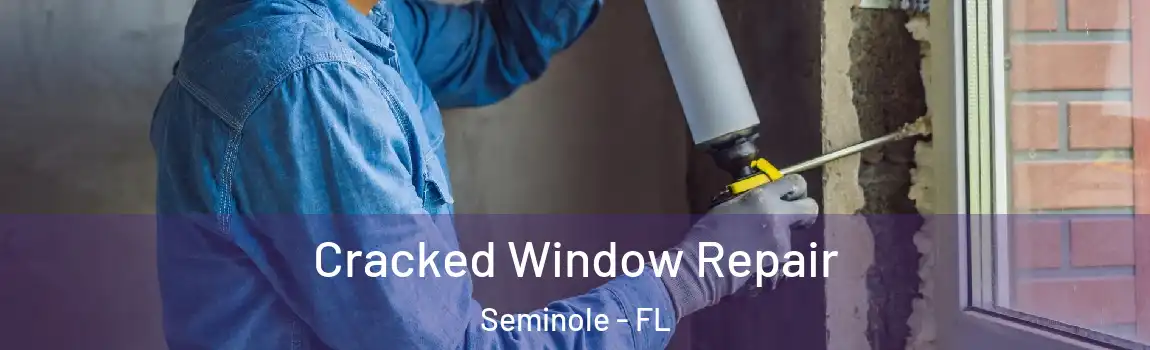 Cracked Window Repair Seminole - FL