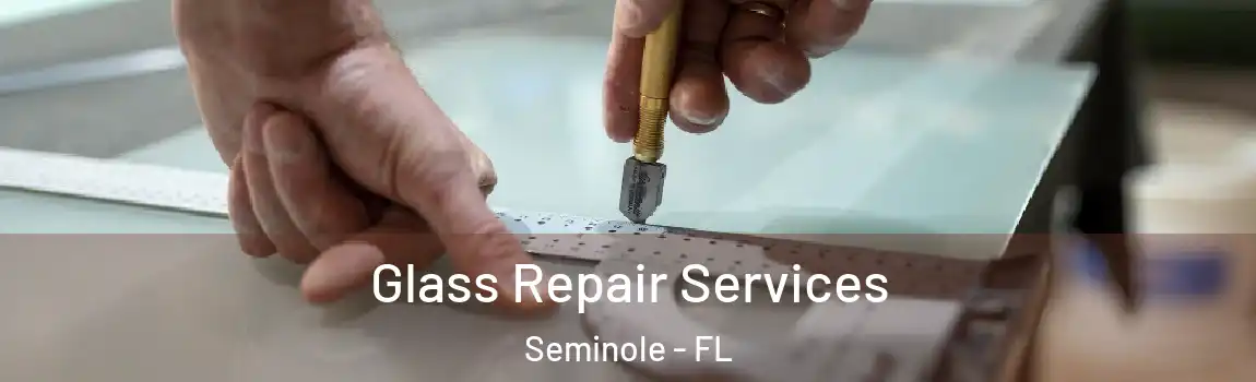 Glass Repair Services Seminole - FL