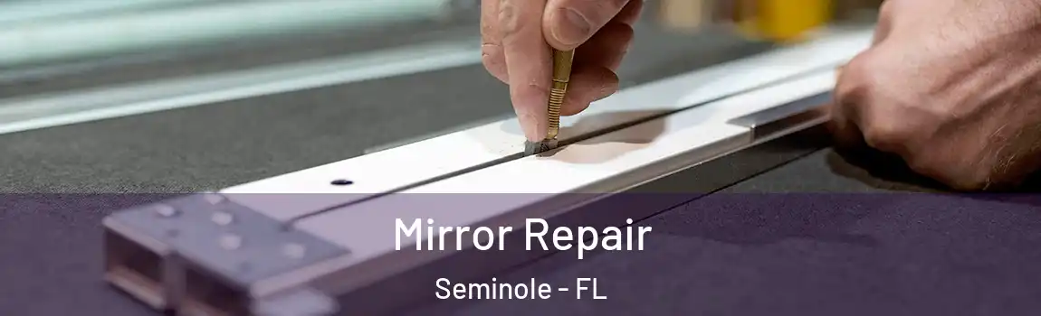  Mirror Repair Seminole - FL