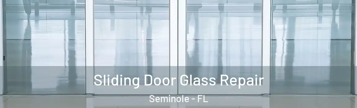  Sliding Door Glass Repair Seminole - FL