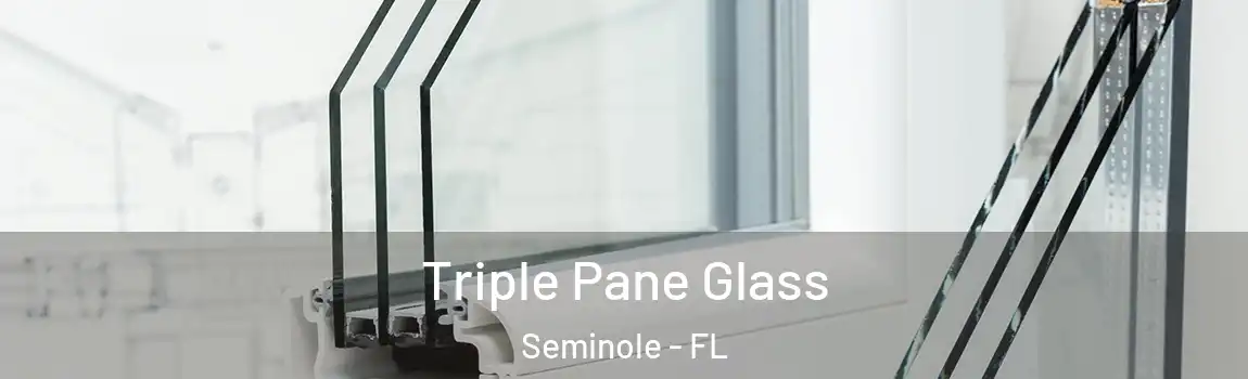 Triple Pane Glass Seminole - FL
