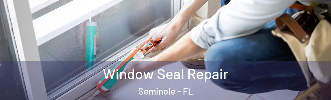Window Seal Repair Seminole - FL